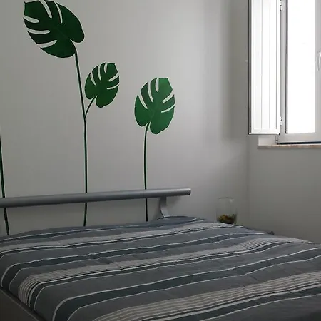 Apartamento Apartamento Vieira Guimaraes *